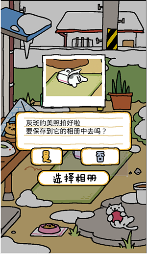 猫咪后院截图