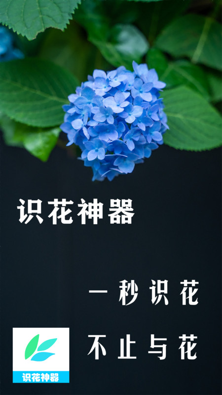 识花神器APP截图