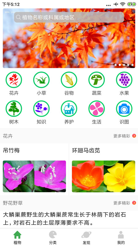 植物百科APP截图