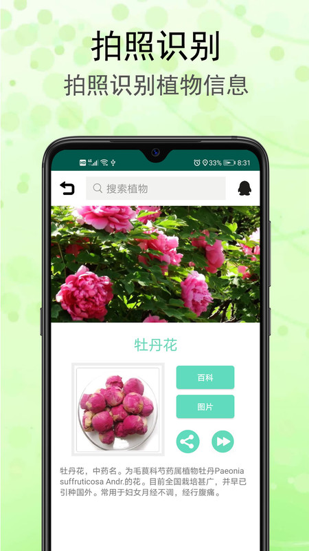 识花草APP截图