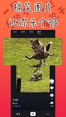 道友App截图