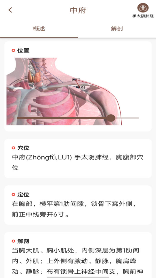 经络穴位3D App截图