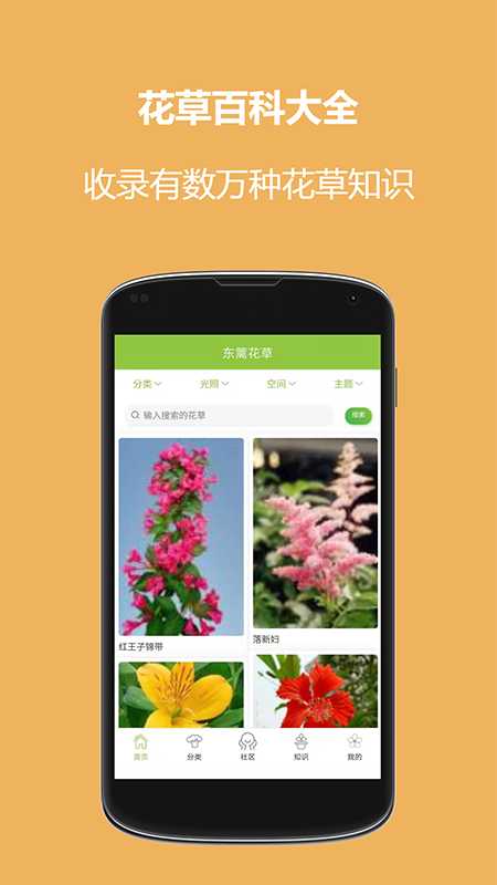 东篱花草app截图