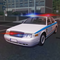 警察巡逻模拟器3d（Police Patrol Simulator）