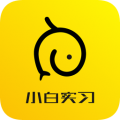 小白实习App