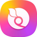 问果桌面APP