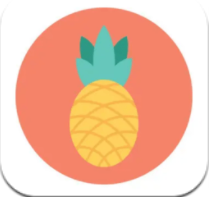 菠萝视频app2022最新版